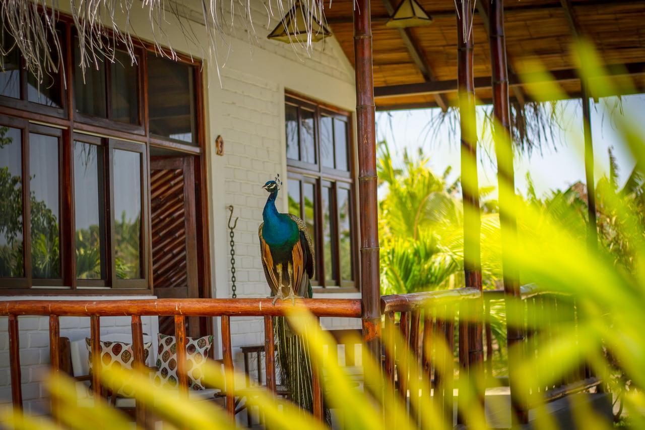 La Choza Bungalows Tambo Grande ภายนอก รูปภาพ